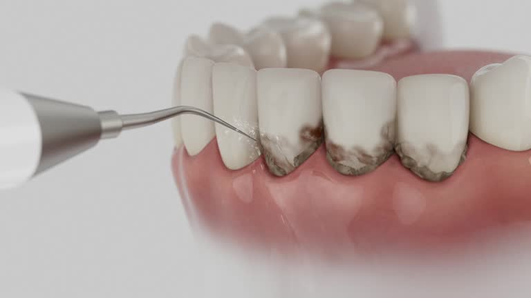 Reliable Dental contractor in Theodore, AL by Dentist Open Now